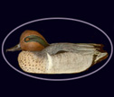 Click here to view Duck Carvings by JoAnn Bernard