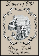 Click here to view contents of display card and booklet